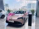 IGIFTFIRE提車儀式布置4s店汽車展廳交車大紅花新車陪嫁妝婚車大蝴蝶結(jié)裝飾 粉色材料包100*120cm 曬單實(shí)拍圖
