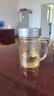 富光 健牌双层玻璃杯支持团购定制茶杯办公杯带把 大容量男女水杯子 实拍图