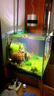 藍寶魚(yú)缸燈LED原生態(tài)流溪缸燈爆藻出苔水草缸吊燈三湖支架燈照明燈 36W 無(wú)支架【適用40-60cm魚(yú)缸】 曬單實(shí)拍圖
