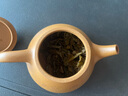 暢陶【暢陶】 紫砂名家藝師陶順清純全手工紫砂茶壺段泥刻繪石瓢300cc 段泥刻繪石瓢·贈養壺巾 300ml 曬單實(shí)拍圖