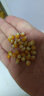 沐谷爆米花玉米粒500g自制家用专用球形爆裂干小玉苞米花 500g*2袋 实拍图