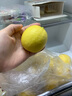 甜果源 香水檸檬青檸檬 海南無(wú)籽果奶茶店專(zhuān)用手打檸檬時(shí)令應季當季水果 凈重3斤【實(shí)惠裝】酸爽可口 曬單實(shí)拍圖