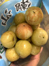 潮汕普寧崩坎甜種油甘果5斤新鮮現(xiàn)摘余甘果牛甘果橄欖甜油柑榨汁L 5斤 曬單實(shí)拍圖