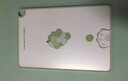 拜格砧板切菜板防霉抗菌家用菜板案板廚房專用水果輔食砧板面板切菜板 抹茶綠 大號 曬單實拍圖