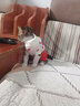 鉑吶苓狗狗衣服貓咪衣服秋冬英短美短比熊泰迪博美小型犬條紋寵物衣服 寵物衣服【冬日莓莓】 S（8號(hào)適合2-4斤寵物） 曬單實(shí)拍圖