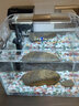 森森魚(yú)缸生態(tài)水草缸小型超白玻璃熱帶魚(yú)水族箱迷你桌面金魚(yú)缸帶底座 230裸缸+HBL301+燈ADP160 曬單實(shí)拍圖