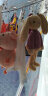 IGNATIUS加油鸭毛绒玩具网红沙雕复读鸭玩偶怼人小鸭子公仔布娃娃生日礼物 白狗 全长约34厘米 实拍图