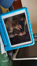冉閱適用于  ipad10/9/8/7保護套10.2英寸a1893蘋(píng)果平板air4 10.9防摔軟殼mini4/5外套air2 藍色 iPad8【2020 iPad 10.2英寸】 曬單實(shí)拍圖