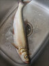 威拓森（weituosen）競(jìng)技擋針飛磕鈦合金針魚釣魚小臺(tái)釣檔針釣魚配件 磨砂銀長款長18cm 曬單實(shí)拍圖