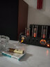 諾普聲CS1020Hifi發(fā)燒膽機(jī)電子管功放機(jī)藍(lán)牙音箱音響組合套裝（藍(lán)牙升級版） 紅色NS2000升級款+10D三代膽機(jī) 曬單實拍圖