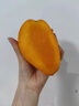 騎猴趕馬金煌芒當季新鮮水果云南現(xiàn)摘熱帶芒果整箱送禮金煌芒甜心芒果 凈重4.5斤【單果300-400g】精選裝 新鮮采摘 顆顆甄選 曬單實拍圖