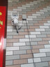 喬安4G室外防水攝像頭終身免流量 無需充值監(jiān)控器家用 全景戶外門口無線球機手機遠程高清全彩夜視探頭 極清超廣角/斷電續(xù)航/WiFi版雙鏡頭/128G卡 500萬高清像素【90%客戶選】 曬單實拍圖