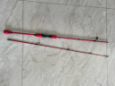 TAIGEK路亚竿鱼竿1.8米直柄单杆M调性超轻超硬渔竿抛投杆渔具 实拍图