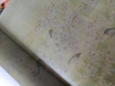 鳥(niǎo)鳴四季：江宏偉的角度  生活讀書新知三聯(lián) 曬單實(shí)拍圖