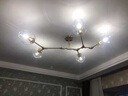植樹照明智能全銅客廳燈已接入米家APP控制臥室餐廳吊燈網(wǎng)紅DIY造型分子燈 5頭吊燈 已接入米家APP智能款 曬單實(shí)拍圖