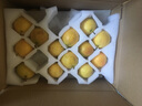 鮮姿遼寧南果梨南國梨香水梨醉梨酒梨新鮮水果禮盒 4.5-4.8斤精選裝約24枚 曬單實(shí)拍圖