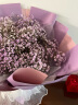 艾斯维娜鲜花速递满天星玫瑰花束送女友生日礼物全国同城配送 紫色满天星花束 实拍图