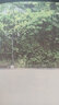 旅行邂逅文藝范兒杭州 章芝君 著(zhù) 北京美術(shù)攝影出版社 書(shū)籍 曬單實(shí)拍圖