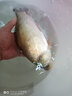 京品開放式折疊魚網(wǎng)抬網(wǎng)魚蝦網(wǎng)籠折疊蝦籠搬網(wǎng)龍蝦網(wǎng)蝦米網(wǎng)捕魚工具a 1米3個（3餌+10米繩+3圈） 曬單實拍圖