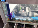 歐寶魚缸水族箱客廳大型家用生態(tài)玻璃水族箱金魚缸屏風(fēng)玄關(guān) 1.38米長(zhǎng)底濾 曬單實(shí)拍圖