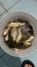 阿盧a31B輕口高靈敏度鯽魚漂黑坑野釣蘆葦浮漂醒目細尾淺水釣魚浮標 LPA31B-13目大紅大綠 5號一支(吃鉛約1.86克) 曬單實拍圖