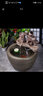 藍寶大型陶瓷流水魚(yú)缸水缸陽(yáng)臺造景水循環(huán)魚(yú)缸辦公室客廳養魚(yú)缸聚財缸 高山流水大號套裝 曬單實(shí)拍圖
