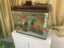 森森（SUNSUN）魚(yú)缸一體缸自循環(huán)客廳小型桌面超白玻璃水族箱生態(tài)免換水金魚(yú)缸 黑色480超白標配缸+假山46+水草景泥 曬單實(shí)拍圖