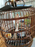 青青鳥籠貴州款鳥籠子大號竹子鳥籠竹鳥籠全套配件大型竹質(zhì)鳥籠鳥籠竹 30直徑厘米1.2間距- 全配套(普配 ) 曬單實(shí)拍圖