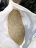 草坪種子四季常青護(hù)坡草籽免修剪耐踐踏高羊茅馬尼拉狗牙根果嶺草黑麥草種籽庭院綠化 混播四季青/斤【經(jīng)濟(jì)實惠】 曬單實拍圖