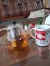 簡優(yōu)幸腹電陶爐燒水壺玻璃加厚高硼硅玻璃茶壺明火養(yǎng)生壺不銹鋼過濾泡茶壺 單壺 550ml 曬單實(shí)拍圖