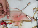 Type-c數(shù)據(jù)線手機(jī)充電器線快充暢尼t(yī)pc-c接口 適用 土豪金 vivo X80 X70T X70 Pro 5G 曬單實(shí)拍圖