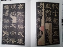 漢 西岳華山廟碑 隸書字帖 名碑名帖經(jīng)典系列放大本 書法練習(xí)臨摹賞析 洪亮主編 天津人民美術(shù)出版社正版圖書 曬單實(shí)拍圖