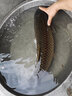 鱘海 前打竿不剪線28調(diào)定位魚竿素超輕硬前打竿釣魚竿手竿 5.4m 28調(diào)單竿（不帶輪） 曬單實(shí)拍圖