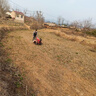 村舍 雙鏈軌履帶式微耕機多功能小型農用起壟除草開(kāi)溝播種自走拖拉機 直連188雙鏈軌柴油電啟款 曬單實(shí)拍圖