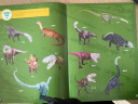 探秘恐龙世界:超好玩的1000个贴纸书 趣味益智游戏，提高孩子观察力、专注力  实拍图