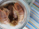 舟山椒鹽皮皮蝦即食新鮮鮮活海鮮熟食罐裝麻辣蝦姑琵琶蝦蝦爬子 椒鹽皮皮蝦*2共300g 曬單實(shí)拍圖