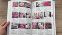 玫瑰花月季花圖鑒   700多種玫瑰花、月季花的鑒賞養(yǎng)護(hù)指南 曬單實拍圖