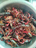 京鮮生（mr seafood） 【活鮮】清水鮮活小龍蝦1000g 單只4-6錢(qián) 中號共45-60只 曬單實(shí)拍圖