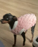 曇蓓漫寵物貓咪狗狗衣服小型幼貓犬冬季保暖外套布偶比熊泰迪小貓狗衣服 【立體薯條造型可愛又保暖】 S 米色薯條衛(wèi)衣建議體重3-5斤 （配有牽引扣可掛牽引繩） 曬單實拍圖