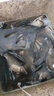 通威膨化魚飼料高蛋白原塘顆粒水庫池塘黑坑釣魚專用羅非鯉魚草魚餌料 散裝153浮水大顆粒 5斤 曬單實拍圖