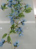 兆族陽(yáng)臺墻面裝飾品墻上綠植物室內客廳仿真迎春花藤條假花垂吊蘭掛件 藍色迎春花1束+三角籃 曬單實(shí)拍圖