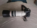 耐影 ET-83C遮光罩單反鏡頭EF 100-400mm F4.5-5.6L IS USM黑色 曬單實(shí)拍圖