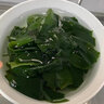 大份量裙帶菜干新鮮海藻菜干涼拌煲湯似海帶干食材高泡發(fā) 500g 曬單實(shí)拍圖