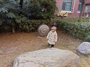 韓版兒童帽子春秋冬款格子貝雷帽嬰兒男寶寶英倫風(fēng)毛呢鴨舌帽子潮小孩子的 咖啡色 52碼3-6歲建議頭圍50-52cmM 曬單實拍圖