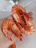 海鮮頌超大九節蝦干即食大蝦干對蝦干特大烤蝦干大干蝦海鮮零食海產(chǎn)干貨 特大斑節蝦干500g 曬單實(shí)拍圖