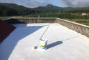 萊仕德 防水隔熱涂料屋頂外墻房頂防水防曬材料彩鋼瓦反射隔熱降溫油漆 【納米隔熱防曬涂料】 50kg 曬單實拍圖