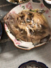 鹿凌青多寶魚(yú)【 鮮活發(fā)貨】現捕現發(fā) 冰鮮偏口魚(yú)八寶魚(yú)大菱鲆 比目魚(yú) 3條（0.9-1斤/條）包鮮不包活 【足稱(chēng)】支持驗稱(chēng) 曬單實(shí)拍圖