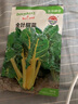 種菜記 金葉甜菜種子葉用紅甜菜帕布魯甜菜根種籽耐熱蔬菜 甜菜頭種孑 金葉甜菜30粒 曬單實(shí)拍圖
