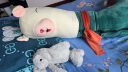 伊贝曼曼睡觉抱枕羊驼公仔玩偶长条毛绒玩具大号成人夹腿生日礼物女生女孩 实拍图