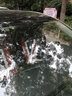 夢(mèng)選（MENGXUAN）長(cháng)安專(zhuān)用行車(chē)記錄儀免走線(xiàn)CS75 CS55 CS35plus 逸動(dòng)plus univ 【4k單鏡頭】2160p+64G卡 CS95 CS15 unit  Lumin 悅翔 曬單實(shí)拍圖